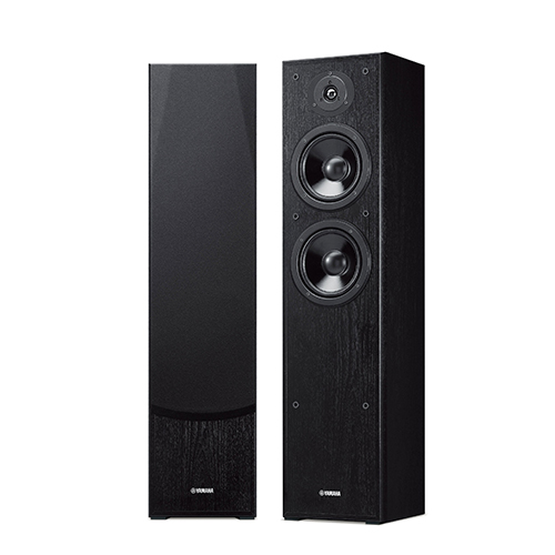 NS-F51 NS-F51
