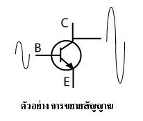 เครื่องขยาย