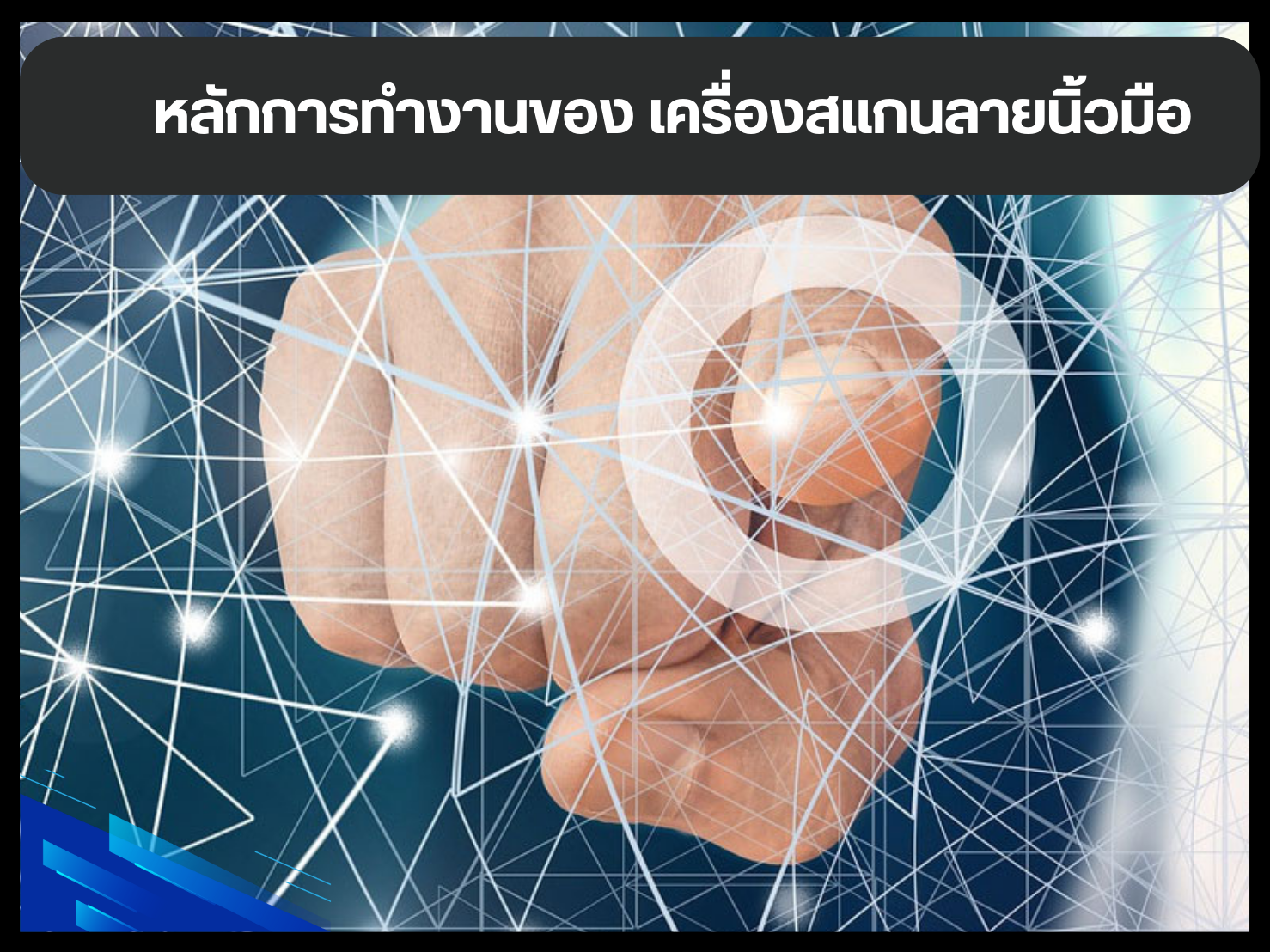 หลักการทํางานของ เครื่องสแกนลายนิ้วมือ