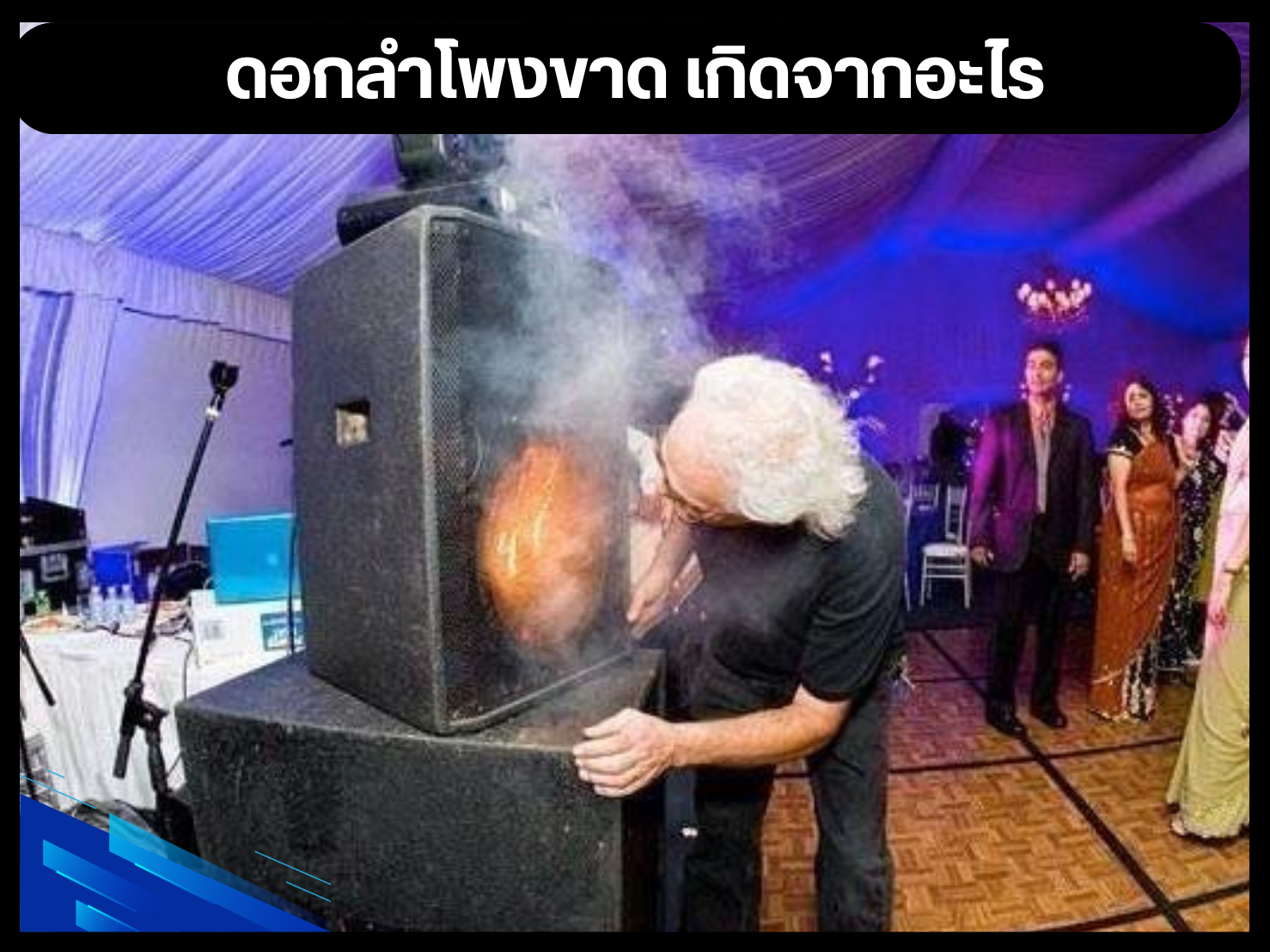 ดอกลำโพง