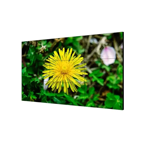 DS-D2055LE-G DS-D2055LE-G